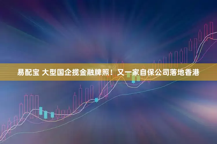 易配宝 大型国企揽金融牌照！又一家自保公司落地香港