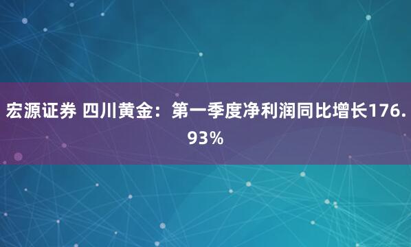宏源证券 四川黄金：第一季度净利润同比增长176.93%